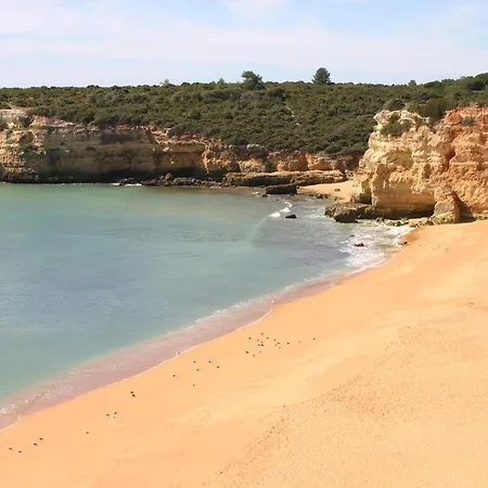 Palmeiras 2.3 3b Porches (Algarve)